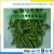 Import IQF green fresh Asparagus Prices from China