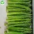 Import IQF Wholesale bulk vegetables brands green fresh frozen asparagus price from China