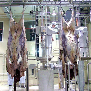 Islamic Camel Slaughter House With Meat Process Abattoir Machine
