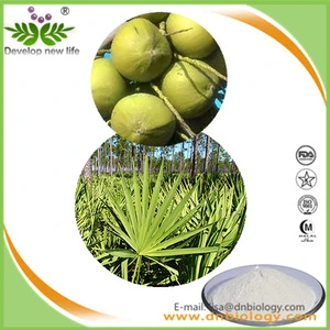 ISO9001 Factory supply American Dwarf Palm Tree and Saw Palmetto berry Extract