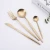 Import Jieyang hot sale Stainless Steel 304 matte gold cutlery set from China