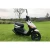 Import JOG professional manufacturer adult gas engine scooter from China
