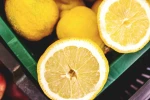 Juicy Lemon Fresh Eureka Level A Yellow Lemon From Brazil