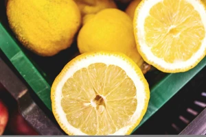 Juicy Lemon Fresh Eureka Level A Yellow Lemon From Brazil