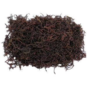 July on demand premium grade original Natural Sabah Dried Seaweed