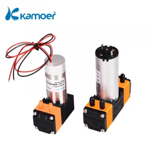 Kamoer KLP01 Double head Micro diaphragm small oil free 12V 24V high pressure large flow silent pump