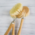 Import Kitchen Plant Cleaning Brush Kit from China