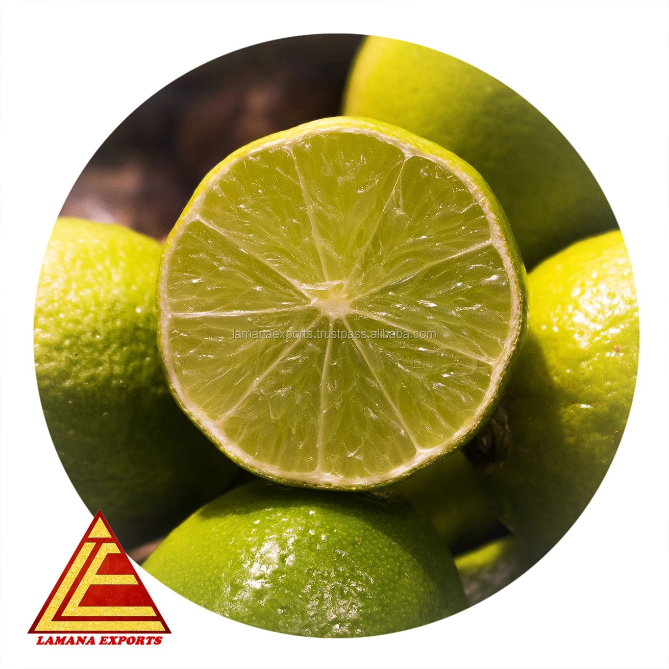 Lemon for Export Vietnam Malaysia Singapore Fresh Green Citrus Fruit COMMON