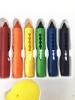 Lipstick Bulk Pen Set Oil Retractable Twistable Crayon