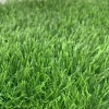 Low Cost Synthetic Lawn Artificial Landscaping Grass