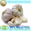 Low Price 100% Natural Garlic Extract Powder Allicin 25% Garlic Extract/Garlic Powder