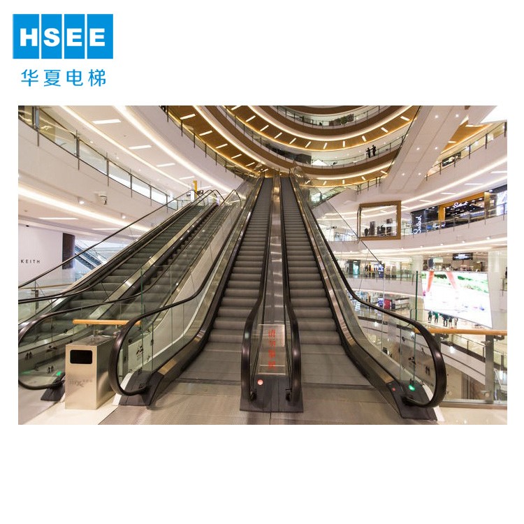 Low Price Professional Stable Escalator Cost