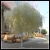 Import LSD-1224545 Artificial Wishing Tree Wood White Dry Tree and Branch Wedding Landscaping from China