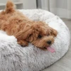 Luxury Colorful Round Half-Pack Cat Bed Mat Soft Comfortable PP Carton Cat Bed Fashion Design Cat Beds