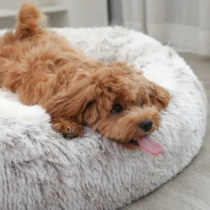 Luxury Colorful Round Half-Pack Cat Bed Mat Soft Comfortable PP Carton Cat Bed Fashion Design Cat Beds