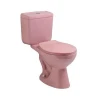 malaysia shape of all brand Two Piece P-Trap washdown Toilet bowl