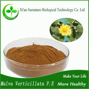 Malva Verticillata Extract GMP &amp;ISO certificate Malva Verticillata P.E./cluster mallow fruit extract