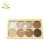 Import Matte Glitter Face Contouring Concealer Highlight Pressed Powder from China