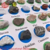 Mineral Specimen, Apply to Geography Teaching or Mineral Collection with 40 kinds of Rock