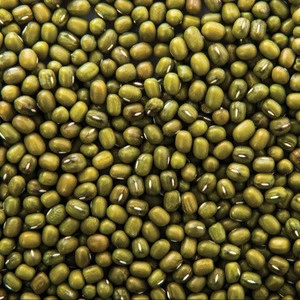 Mung Beans Dry Green 3.0mm--4.0mm Vigna Beans for sale