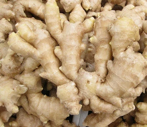 Natural Gingerols Extract Powder 5%, 10%, 15% ,25% Dried Ginger Extract