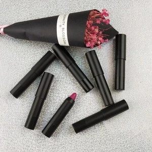 New Arrival Lip Makeup Long Lasting Deep Moisturizing Easy To Remove Kissproof Matte Lipstick Pencil Private Label Lip Crayon