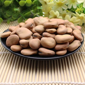 New crop bluk dry fava beans broad beans