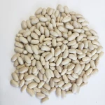 New crop market price white kidney beans