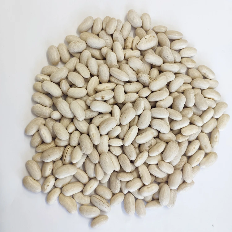 New crop market price white kidney beans