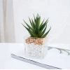 new design mini cute glass potted arrangement cactus succulent artificial plants indoor outdoor home garden decoration for sale