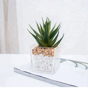 new design mini cute glass potted arrangement cactus succulent artificial plants indoor outdoor home garden decoration for sale