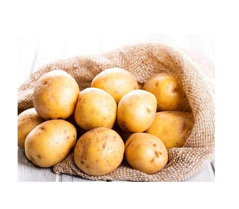 New Harvest High Quality Potato from Vietnam Farm! Fresh Sweet Potato Wholesale Price! EU Export Vegetable Potato