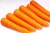 Import No Pollution Natural Fresh Carrot Competitive Carrot Price S/M/L/2L Specification Mesh Bag/Carton Package from China