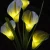 Import ODM/OEM Factory Solar led light Christmas decorative callas flower Light 7 Color Auto-Changing Outdoor Garden from China