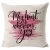 OEM Quality Holiday Promotion Special Work Hard Play Hard Customized Motivational Quotes Nursing Pillow Cover