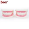 Oral Health Care Tooth Model Biological Science And Education Equipment