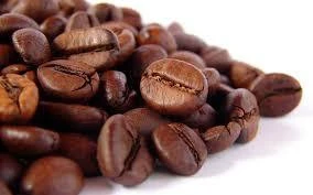 Organic Robusta Coffee Beans/ 100% Organic Coffee Beans/ Vietnam Organic Coffee Beans