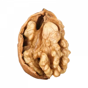 Original Raw in Paper Shell Fresh Chinese walnut!!!