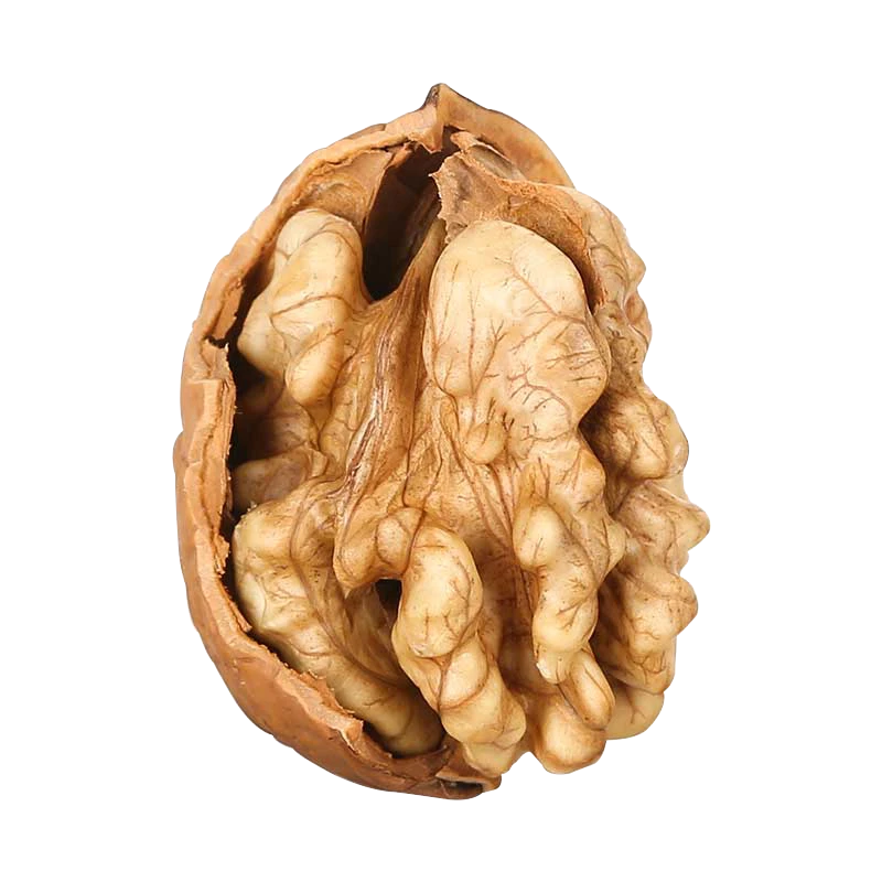 Original Raw in Paper Shell Fresh Chinese walnut!!!