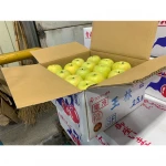 Ourin Late October unique fragrance various fresh fruits apples