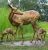 Import Outdoor Lifelike Garden Cast Deer Bronze Elk Deer Stag Sculpture from China