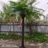 Outdoor Palm Tree Big Coconut Artificial Coconut Tree