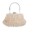 Party Evening Bag Luxury Evening Ladies Evening Party Clutch