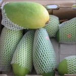 pe extruded net machine