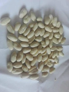 peanuts prices 1kg Roasted blanched peanut