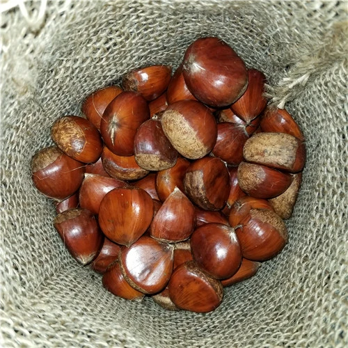 Peel roast chestnut fresh chines origin chestnut export to the world