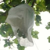 Pest Control Agriculture Non-woven Fabric Disposable Fruit Bag Grape Protection Bag