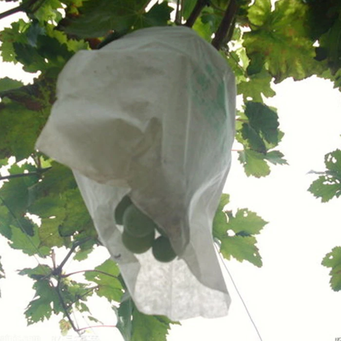 Pest Control Agriculture Non-woven Fabric Disposable Fruit Bag Grape Protection Bag