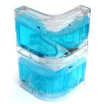 pet intelligence toys antworks sample kids intelligent developing toys kids toys educational numbers intelligence ant farm