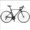 Phoenix Bicycle New Design High Quality Alloy Road Bicycle